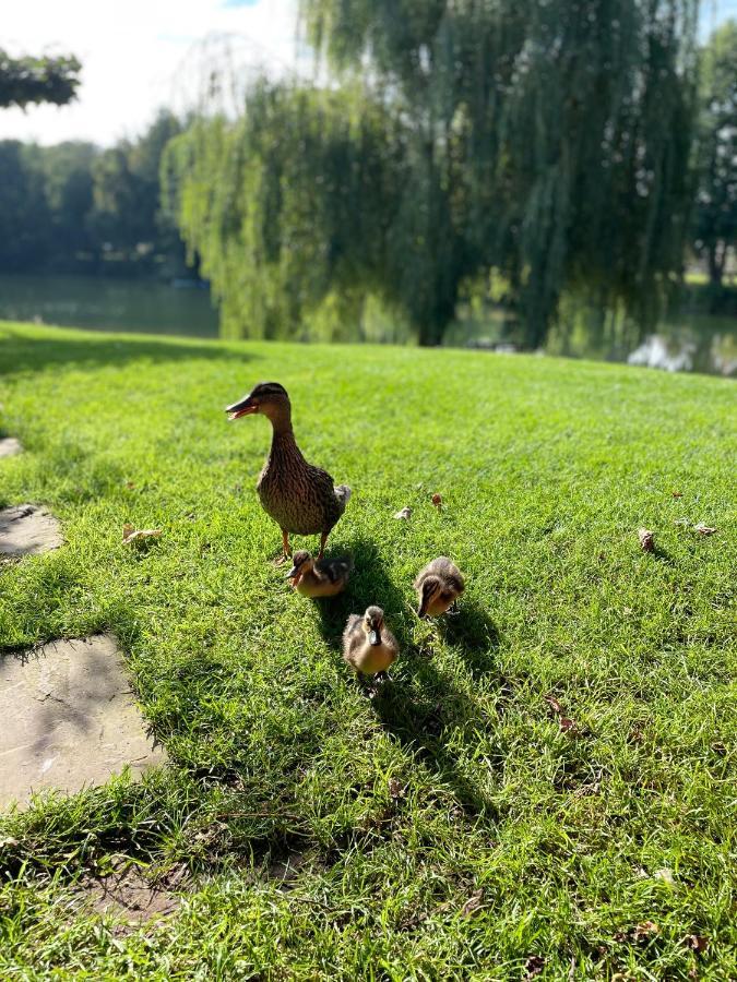 Gemuetliches Fachwerkhaus Am See Mit Kamin Warendorf Exterior foto