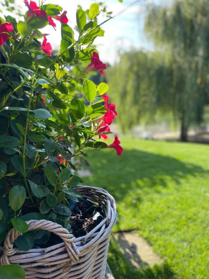Gemuetliches Fachwerkhaus Am See Mit Kamin Warendorf Exterior foto